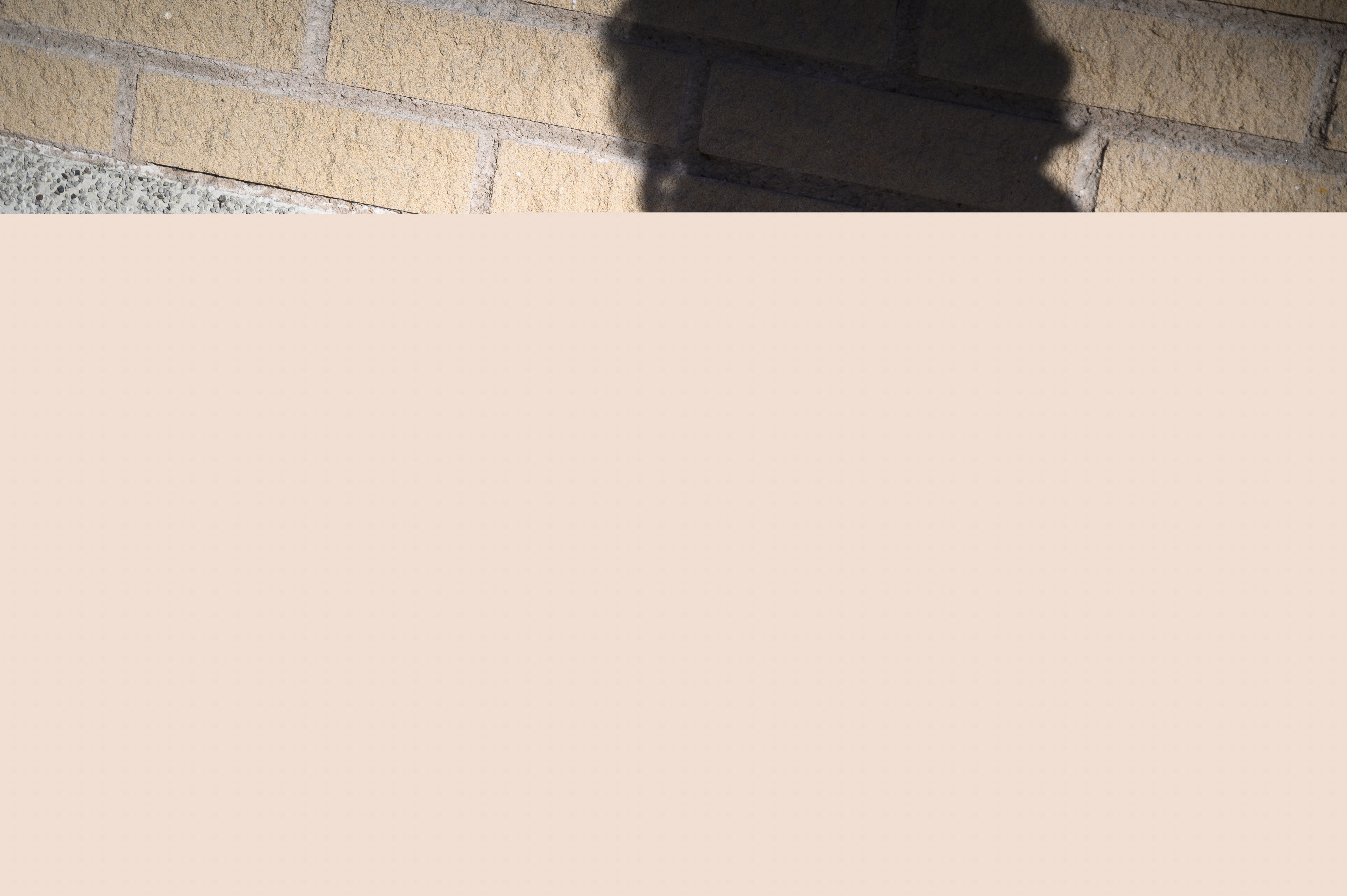 En skugga på en tegelvägg av någon som skriver på sin mobiltelefon.