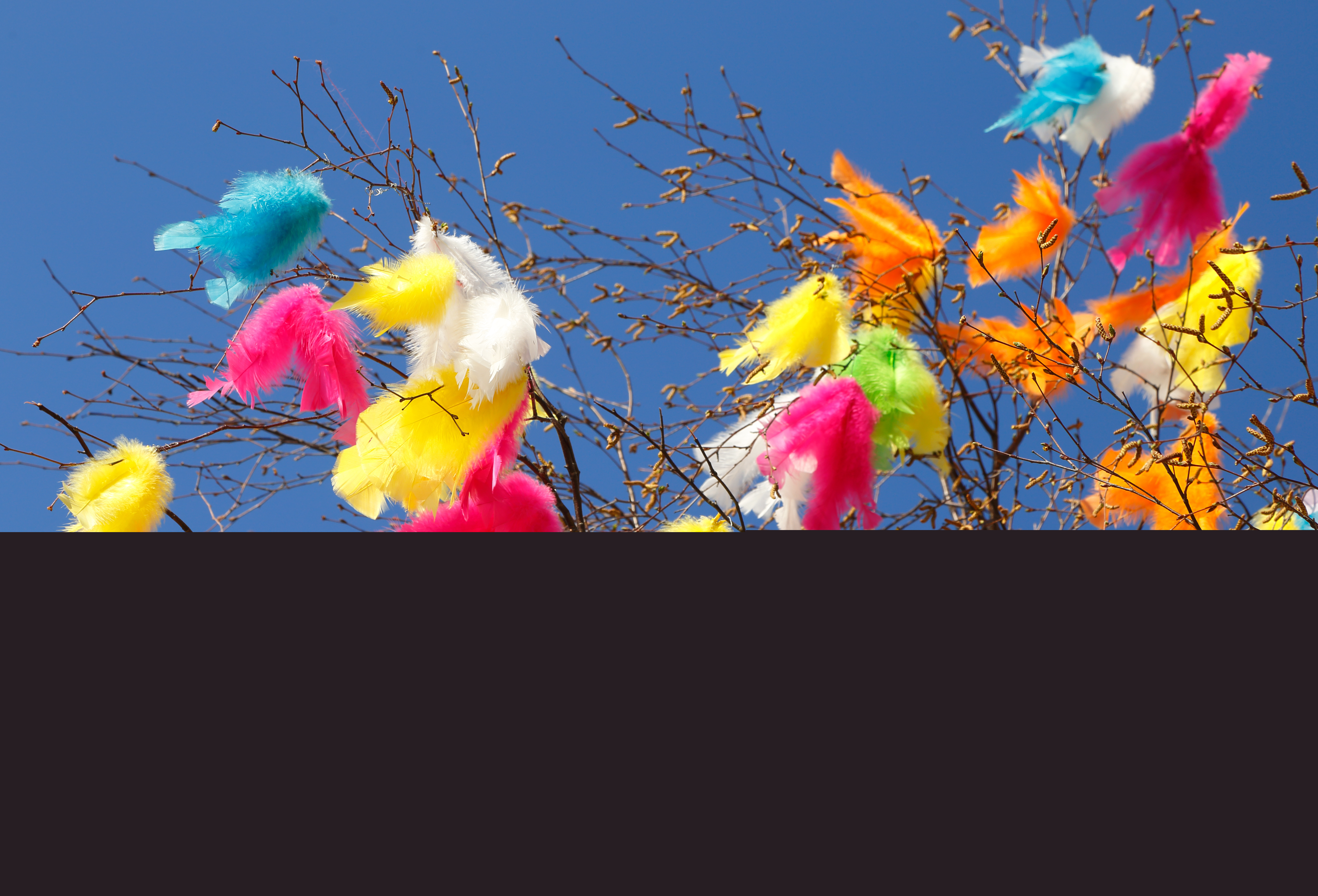 Ett påskris med färgglada fjädrar.