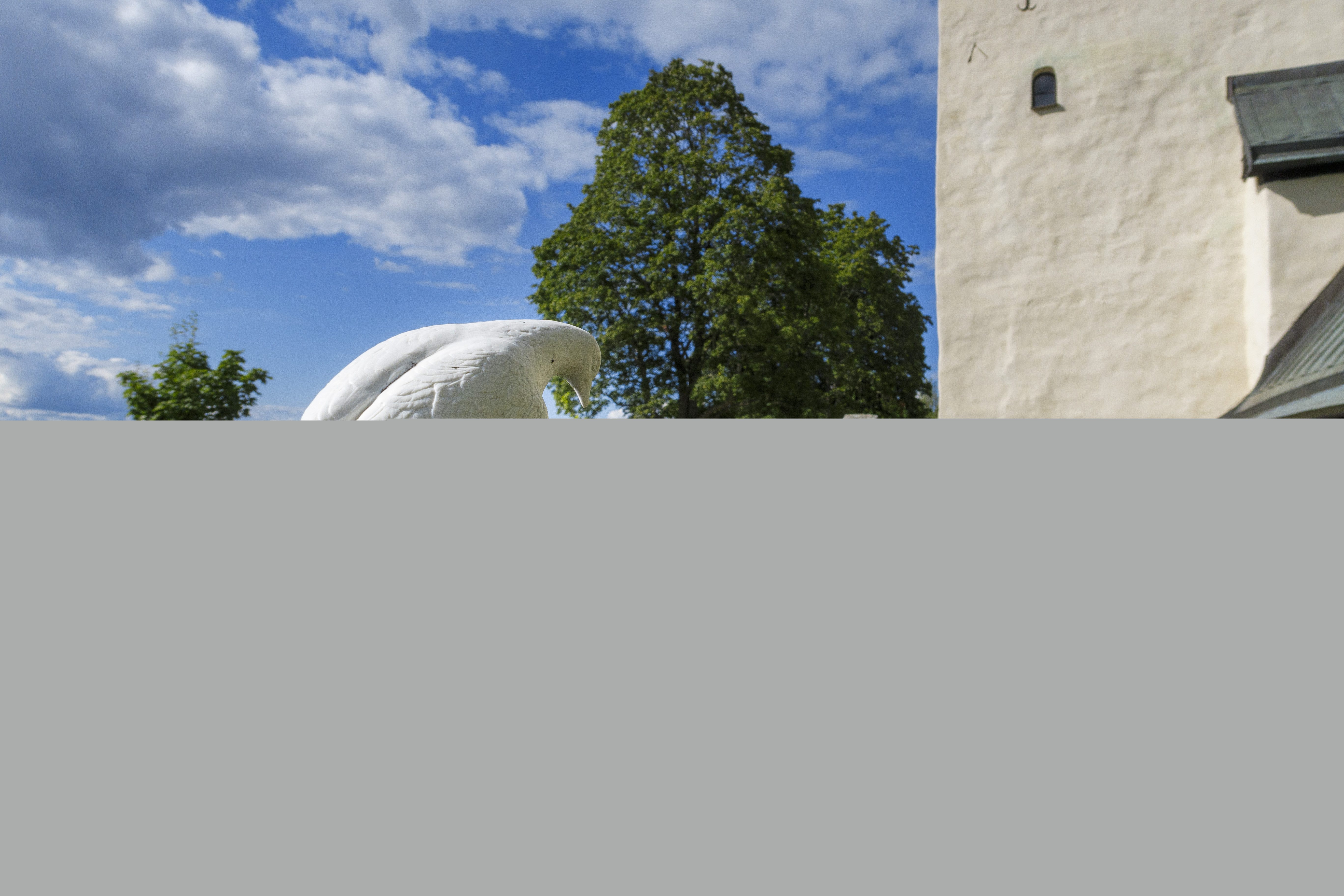 En vit stenduva sitter på en gravsten.