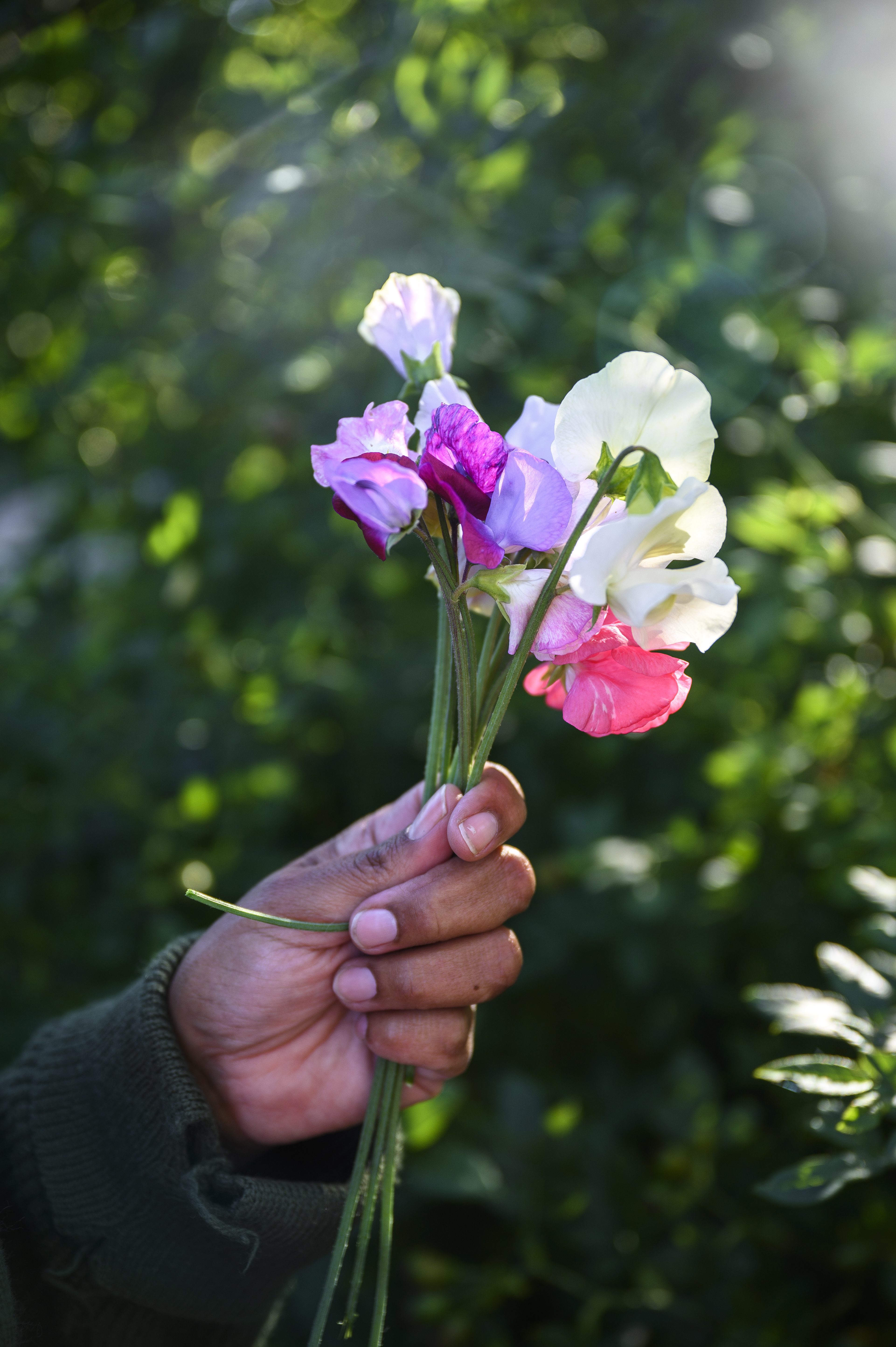 En hand med en blombukett.