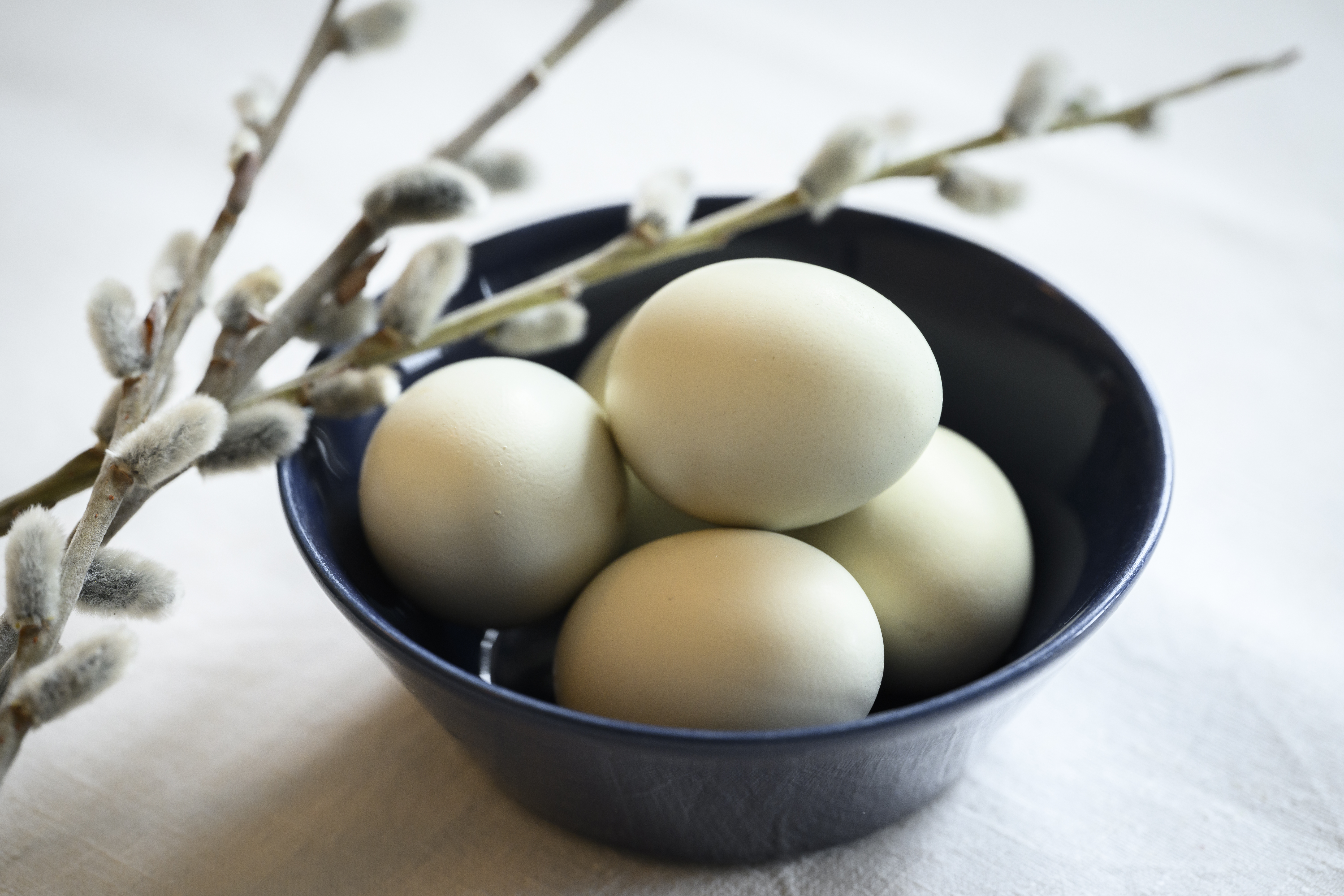 Några ägg i en blå porslinsskål, och en videkvist.