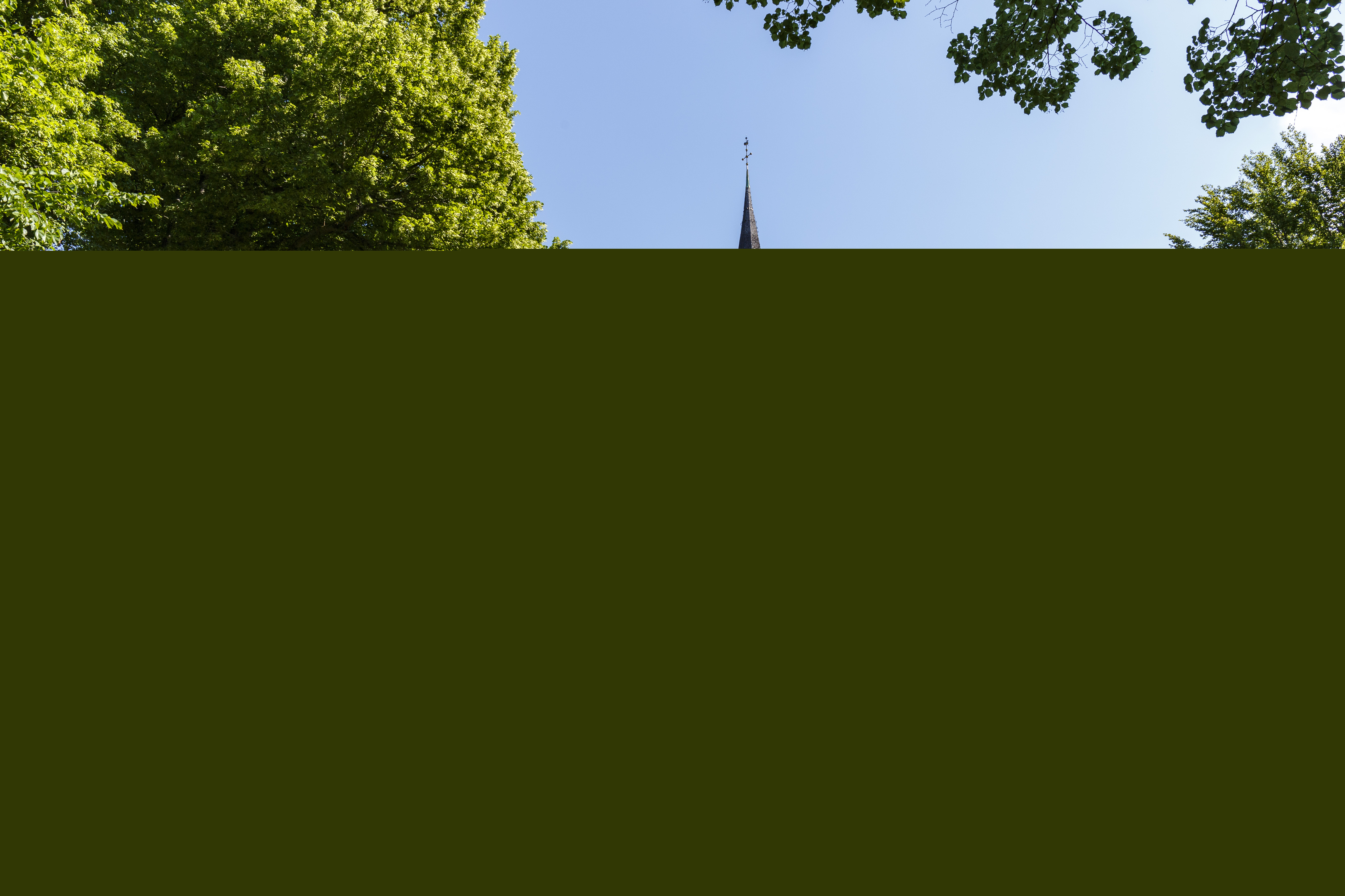 En kyrka i sommarsol. Grönskande träd runt om.