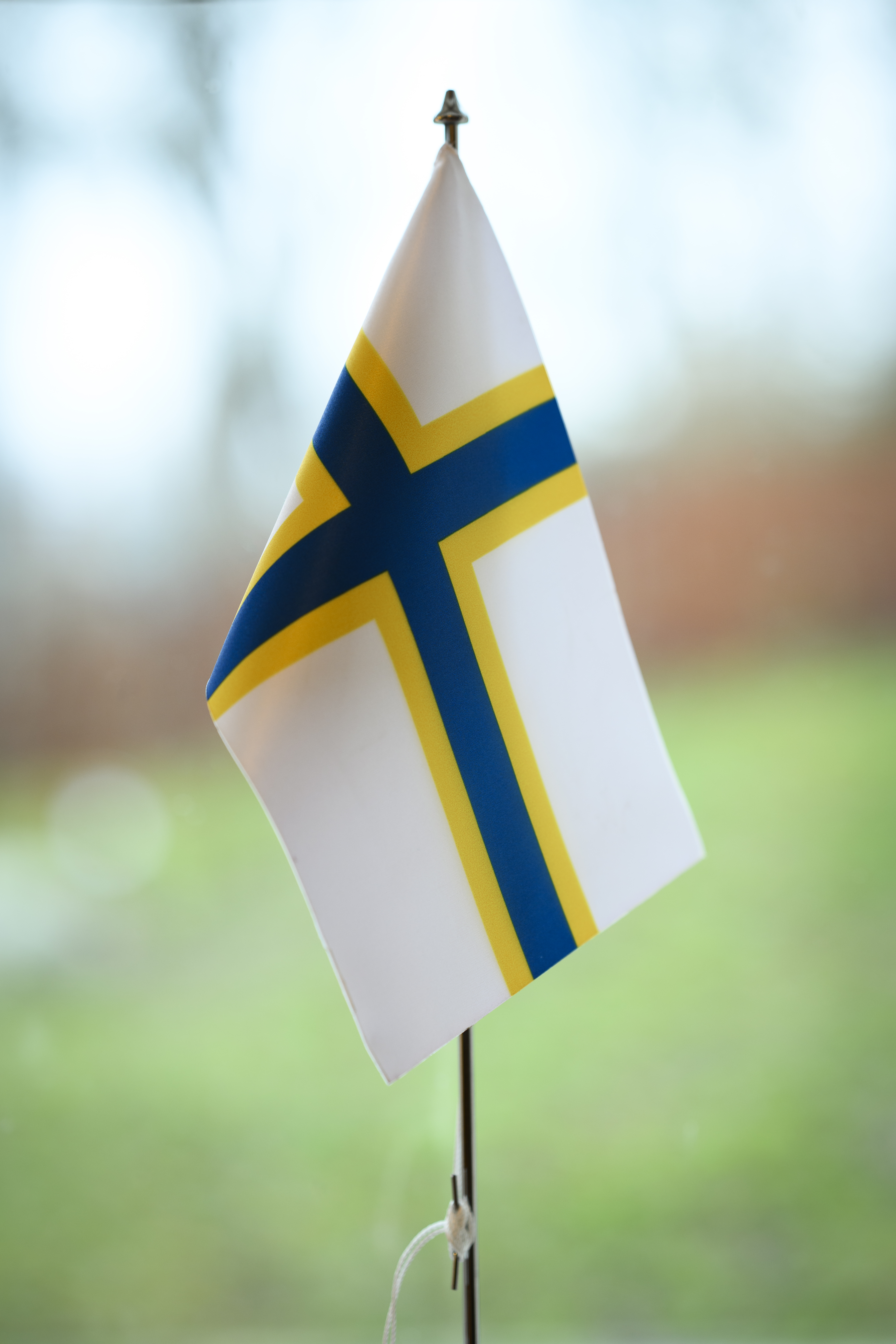 En sverigefinsk bordsflagga står i ett fönster.
