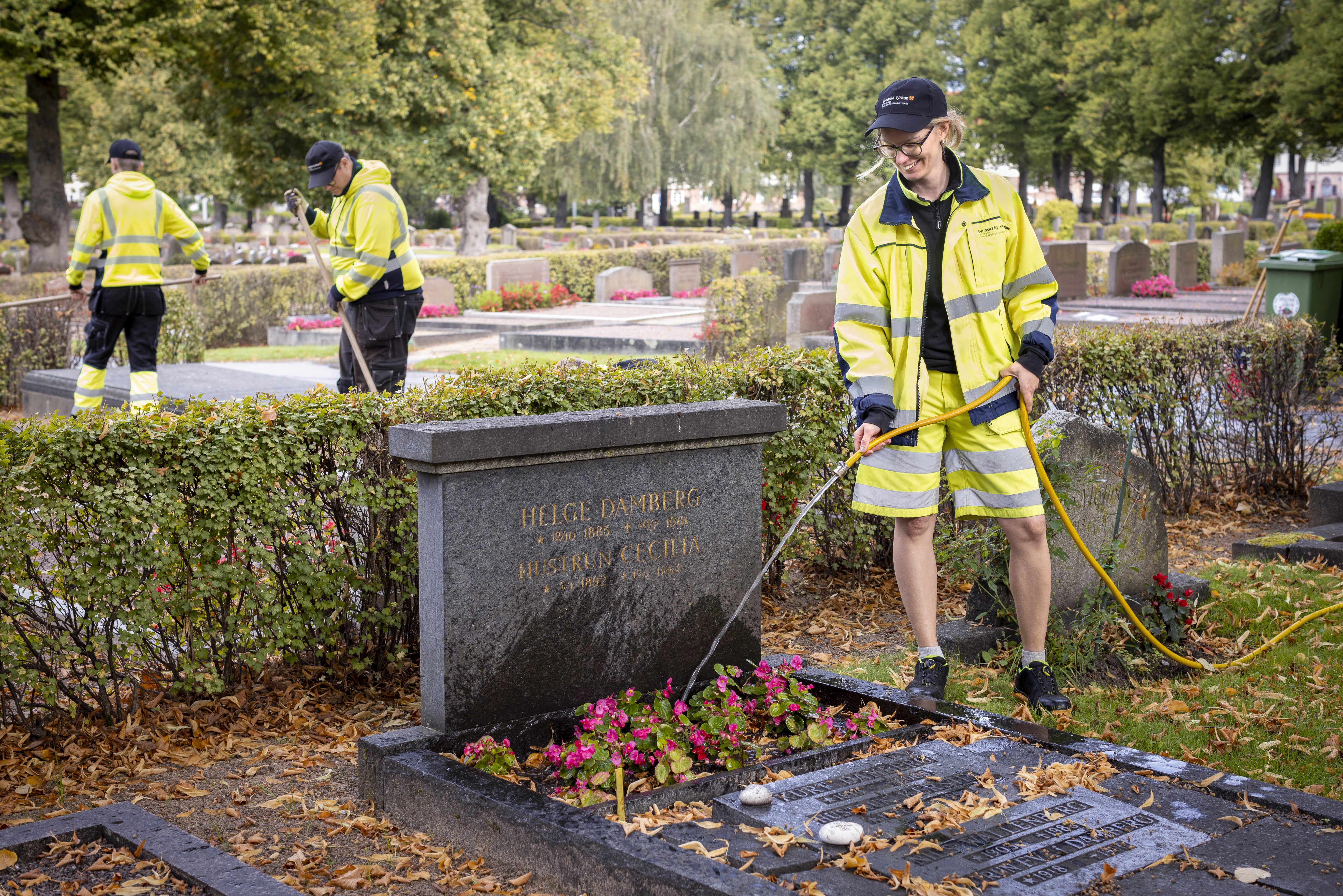 En kyrkogårdsarbetare i gula varselkläder vattnar blommorna på en gravplats.
