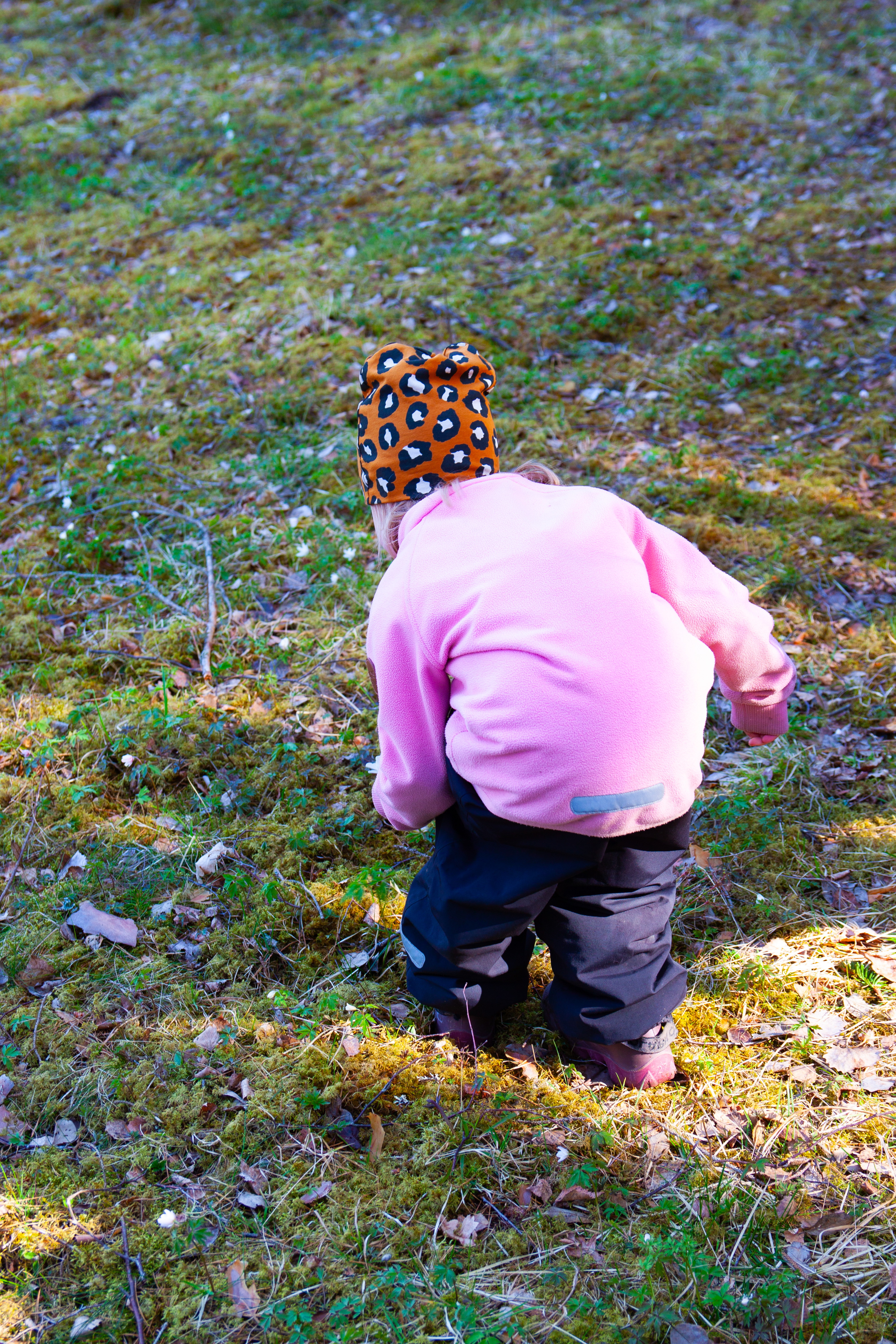 Ett barn plockar blommor i en skog.