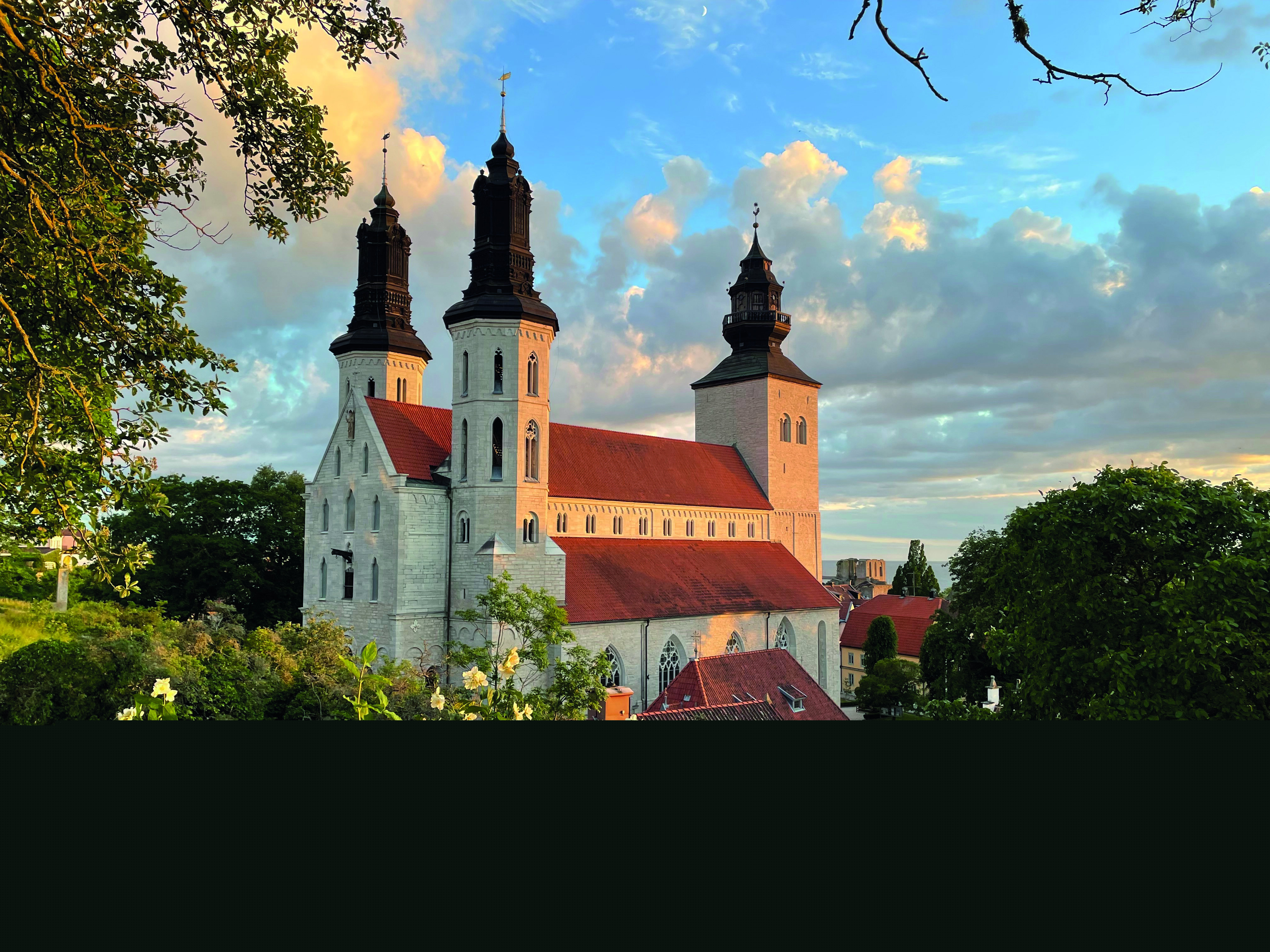 Visby domkyrka i solnedgång en kväll i juni. I förgrunden blommar en buske och på himlen syns både blå himmel och en del moln.